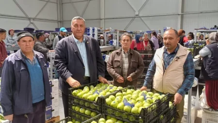 Elmada Don Felaketi Yurt Dışı Pazarı Tehdit Ediyor: CHP’li Gürer Uyardı