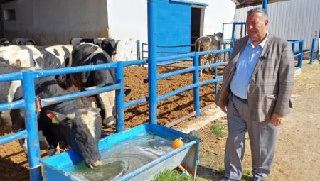 Ömer Fethi Gürer: ‘Kurbanlık Fiyatları Emekli ve Asgari Ücretlinin Alım Gücünü Aştı’