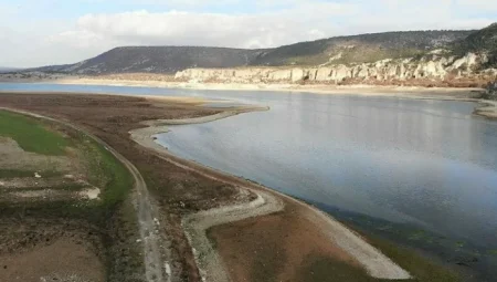 Chihuahua’da kuraklık mısır ve fasulyeyi bitirdi: Barajlar yüzde 12’ye düştü
